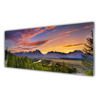 Glasbild aus Plexiglas® Gebirge Wald Natur