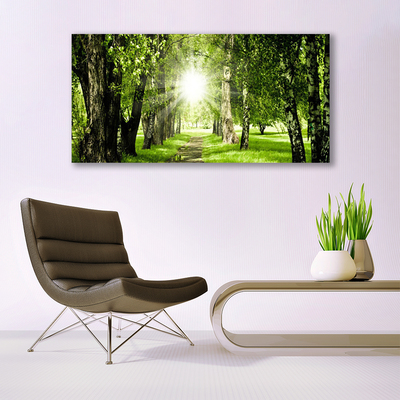 Glasbild aus Plexiglas® Wald Sonne Fußpfad Natur