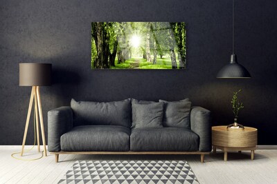 Glasbild aus Plexiglas® Wald Sonne Fußpfad Natur