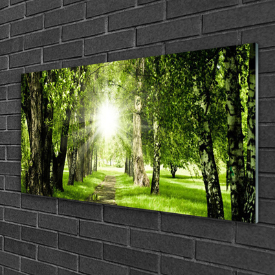 Glasbild aus Plexiglas® Wald Sonne Fußpfad Natur