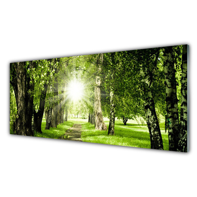 Glasbild aus Plexiglas® Wald Sonne Fußpfad Natur