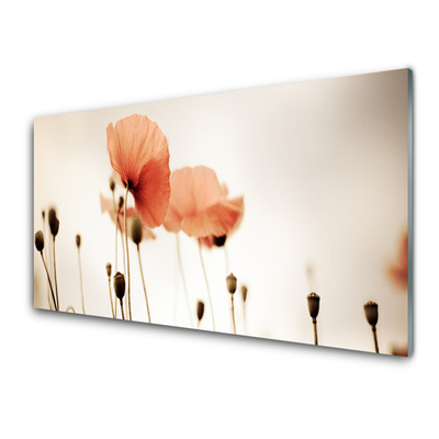 Glasbild aus Plexiglas® Mohnblumen Pflanzen