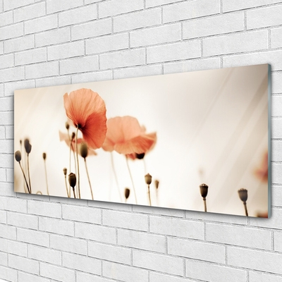 Glasbild aus Plexiglas® Mohnblumen Pflanzen