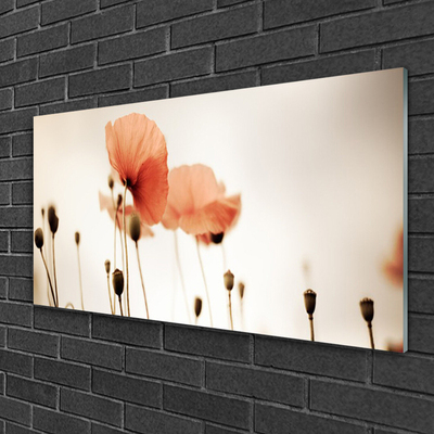 Glasbild aus Plexiglas® Mohnblumen Pflanzen