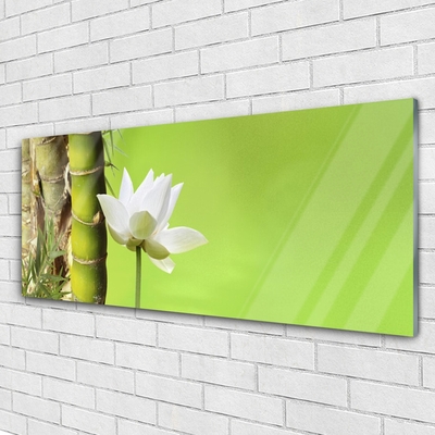 Glasbild aus Plexiglas® Bambusrohr Blume Pflanzen