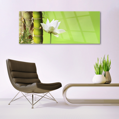 Glasbild aus Plexiglas® Bambusrohr Blume Pflanzen