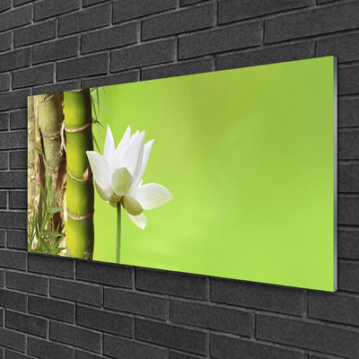 Glasbild aus Plexiglas® Bambusrohr Blume Pflanzen