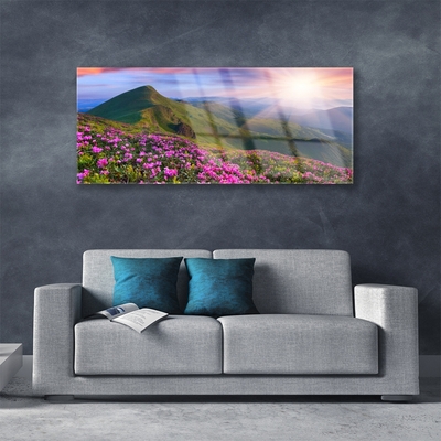 Glasbild aus Plexiglas® Gebirge Wiese Blumen Landschaft