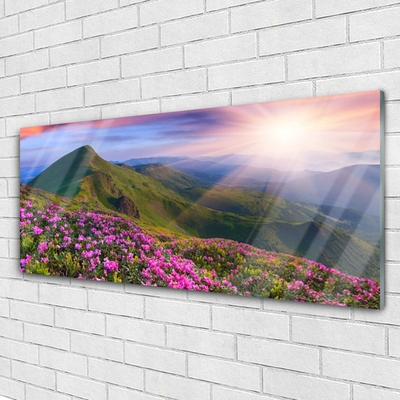 Glasbild aus Plexiglas® Gebirge Wiese Blumen Landschaft