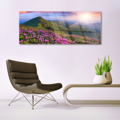 Glasbild aus Plexiglas® Gebirge Wiese Blumen Landschaft