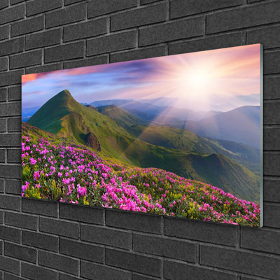 Glasbild aus Plexiglas® Gebirge Wiese Blumen Landschaft