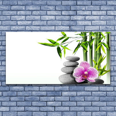 Glasbild aus Plexiglas® Bambusrohr Blume Steine Pflanzen