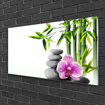 Glasbild aus Plexiglas® Bambusrohr Blume Steine Pflanzen