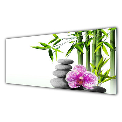 Glasbild aus Plexiglas® Bambusrohr Blume Steine Pflanzen