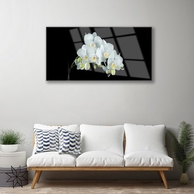 Glasbild aus Plexiglas® Blumen Pflanzen