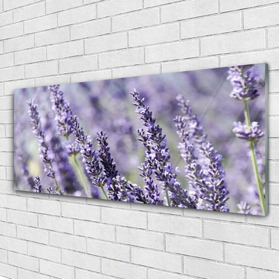 Glasbild aus Plexiglas® Blumen Pflanzen