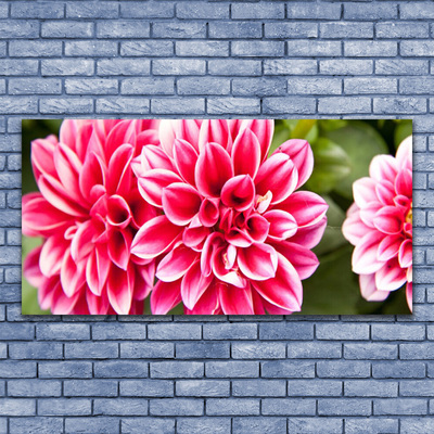 Glasbild aus Plexiglas® Blumen Pflanzen