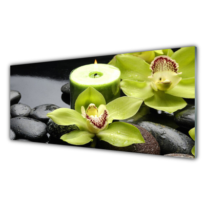 Glasbild aus Plexiglas® Blumen Steine Pflanzen