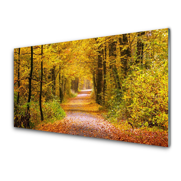 Glasbild aus Plexiglas® Wald Natur