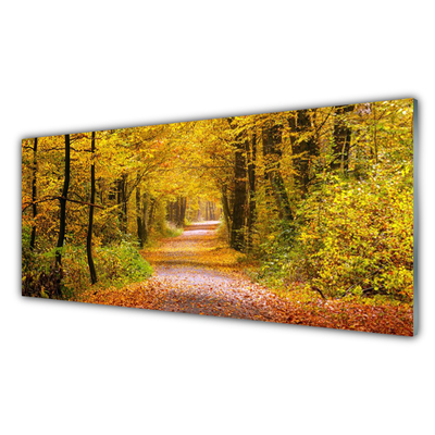 Glasbild aus Plexiglas® Wald Natur