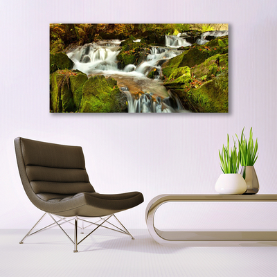 Glasbild aus Plexiglas® Wasserfall Felsen Natur