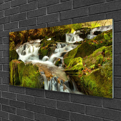 Glasbild aus Plexiglas® Wasserfall Felsen Natur