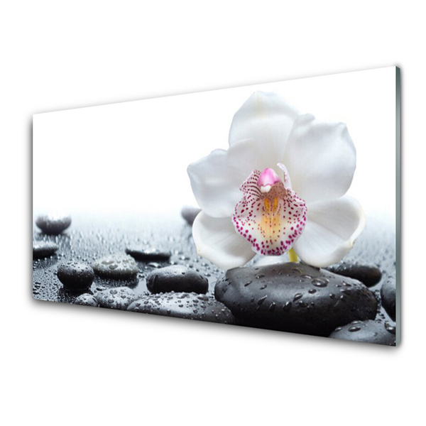 Glasbild aus Plexiglas® Blume Steine Kunst