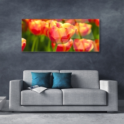 Glasbild aus Plexiglas® Tulpen Pflanzen