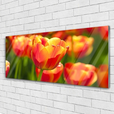 Glasbild aus Plexiglas® Tulpen Pflanzen