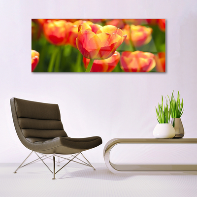 Glasbild aus Plexiglas® Tulpen Pflanzen