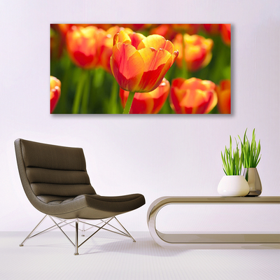 Glasbild aus Plexiglas® Tulpen Pflanzen