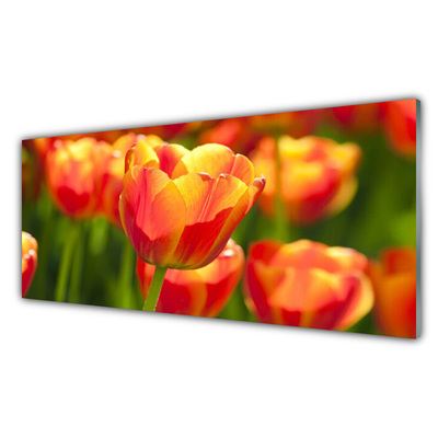 Glasbild aus Plexiglas® Tulpen Pflanzen