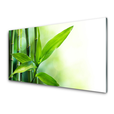 Glasbild aus Plexiglas® Bambusrohre Pflanzen