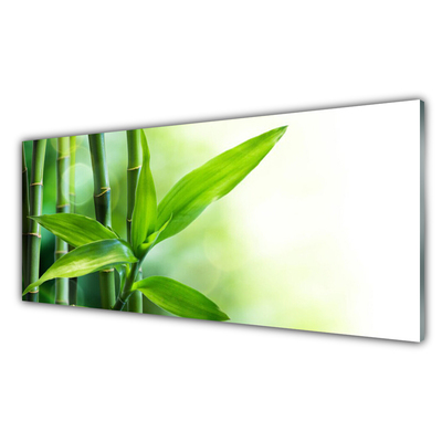 Glasbild aus Plexiglas® Bambusrohre Pflanzen