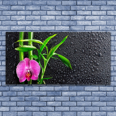 Glasbild aus Plexiglas® Bambusrohre Blume Pflanzen