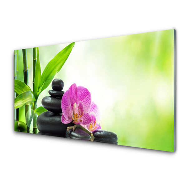 Glasbild aus Plexiglas® Bambusrohre Blume Steine Pflanzen