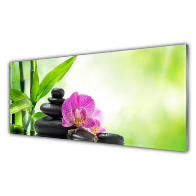 Glasbild aus Plexiglas® Bambusrohre Blume Steine Pflanzen