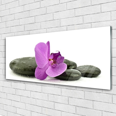 Glasbild aus Plexiglas® Blume Steine Kunst