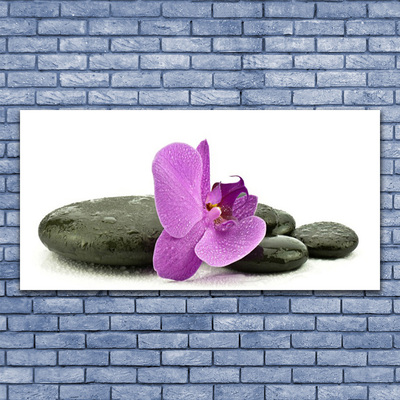 Glasbild aus Plexiglas® Blume Steine Kunst