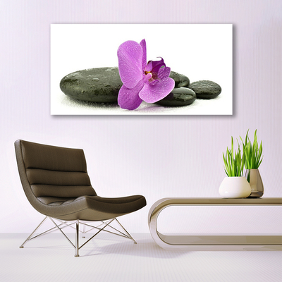 Glasbild aus Plexiglas® Blume Steine Kunst