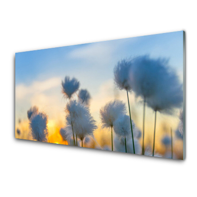 Glasbild aus Plexiglas® Blumen Pflanzen