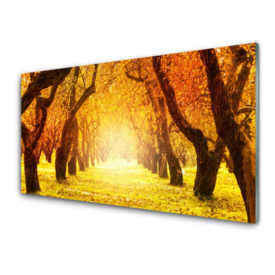 Glasbild aus Plexiglas® Wald Fußpfad Natur