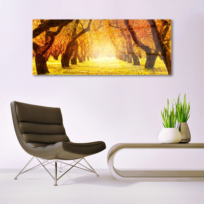 Glasbild aus Plexiglas® Wald Fußpfad Natur