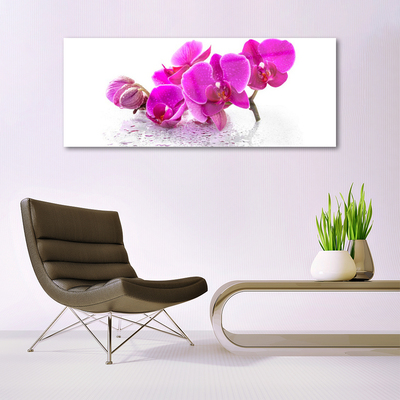 Glasbild aus Plexiglas® Blumen Pflanzen