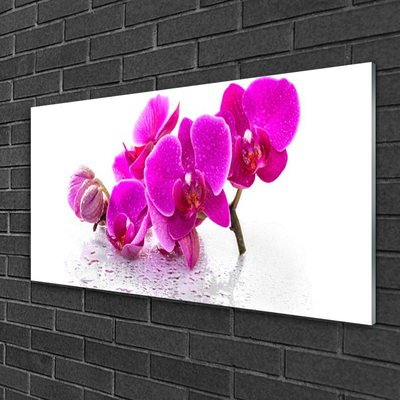 Glasbild aus Plexiglas® Blumen Pflanzen