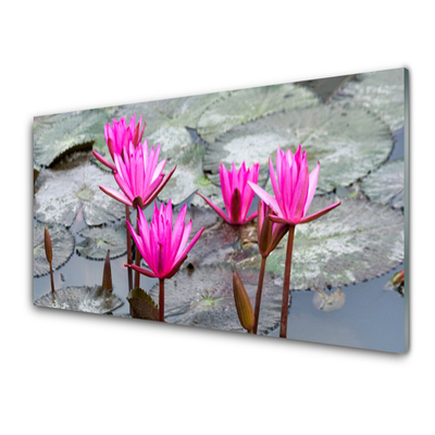 Glasbild aus Plexiglas® Blumen Pflanzen