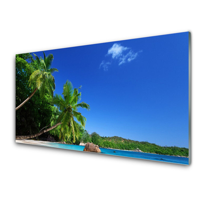 Glasbild aus Plexiglas® Palmen Landschaft