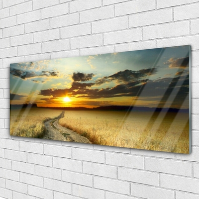 Glasbild aus Plexiglas® Weg Wiese Landschaft