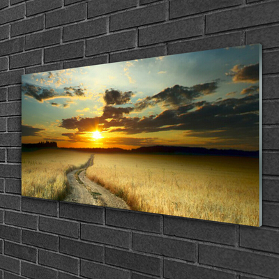 Glasbild aus Plexiglas® Weg Wiese Landschaft