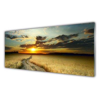 Glasbild aus Plexiglas® Weg Wiese Landschaft